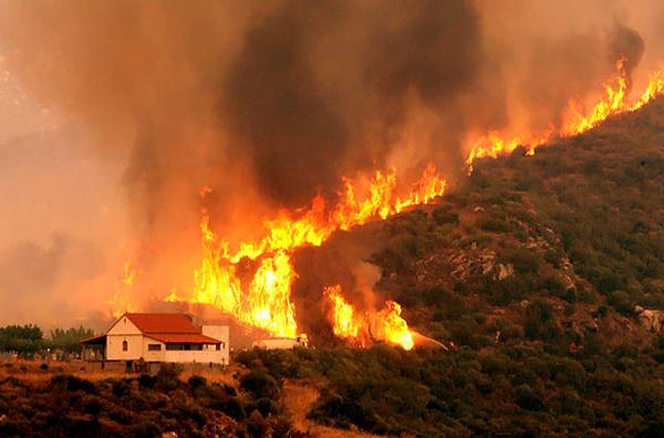 Kebakaran Hutan 2015 Timbulkan Kerugian Rp 220 Triliun