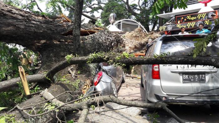 Pohon Tua di Kawasan Lapangan Merdeka Medan Timpa Warga dan Mobil