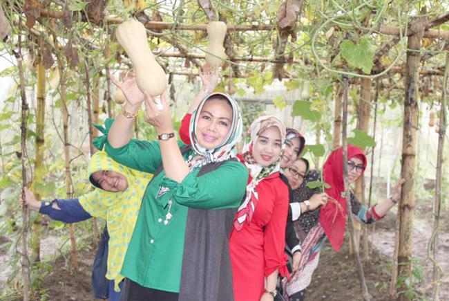 Evi Diana Sebut Tanaman Hortikultura Sejalan dengan Hatinya PKK