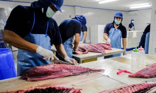 Pemerintah Rencanakan Percepatan Pembangunan Industri Perikanan