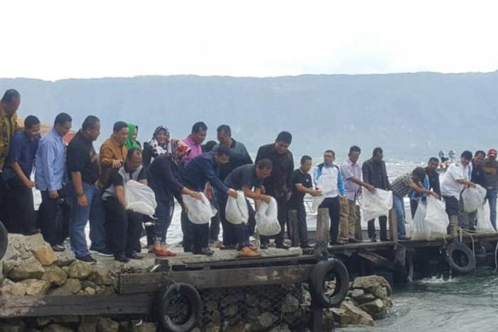 Awal 2017, Ribuan Benih Ikan Tawes dan Nila untuk Danau Toba