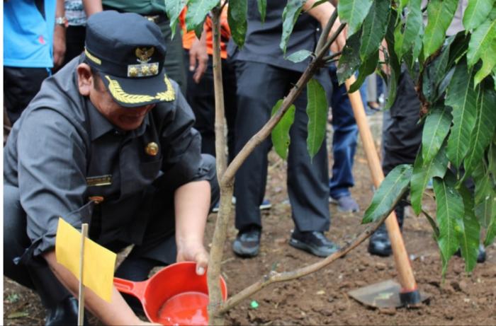 Walikota Padangsidimpuan Ajak Budayakan Menanam Pohon