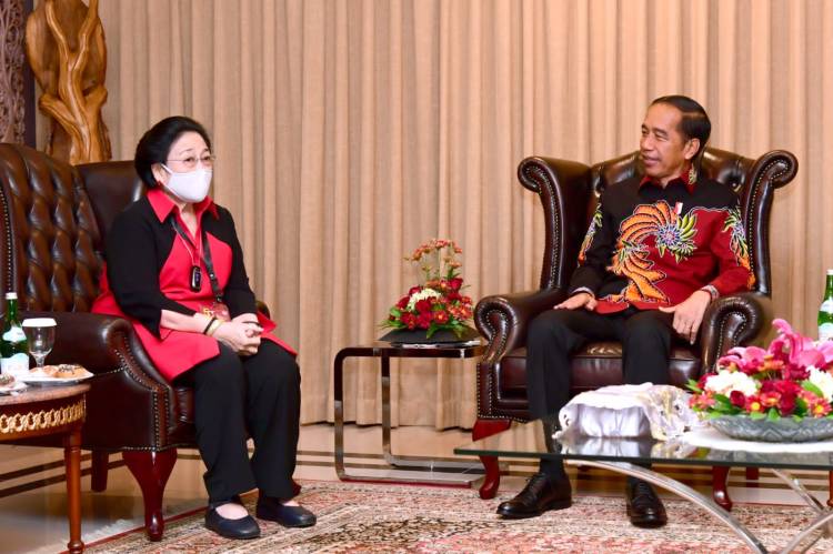 Dorong Pembangunan Ekosistem Industri Terintegrasi, Presiden: Tingkatkan Nilai Tambah Ratusan Kali