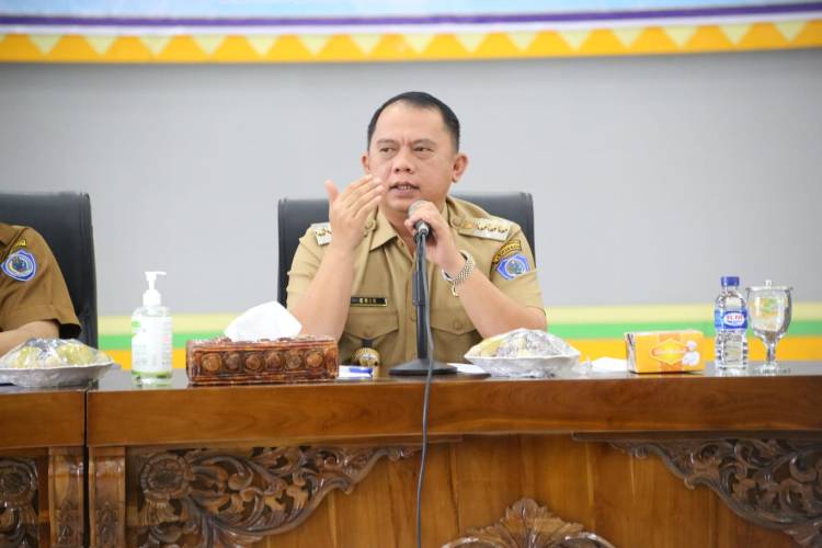 Bupati Labuhanbatu Buka Rakor Dan Sosialiasi Dasawisma