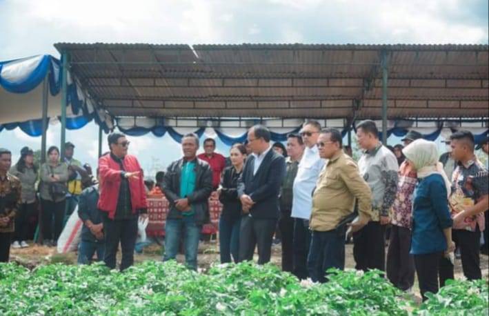 Komisi IV DPR RI Kunker Ke Kab. Humbang Hasundutan Spesifik di Lokasi Food Estate Hortikultura