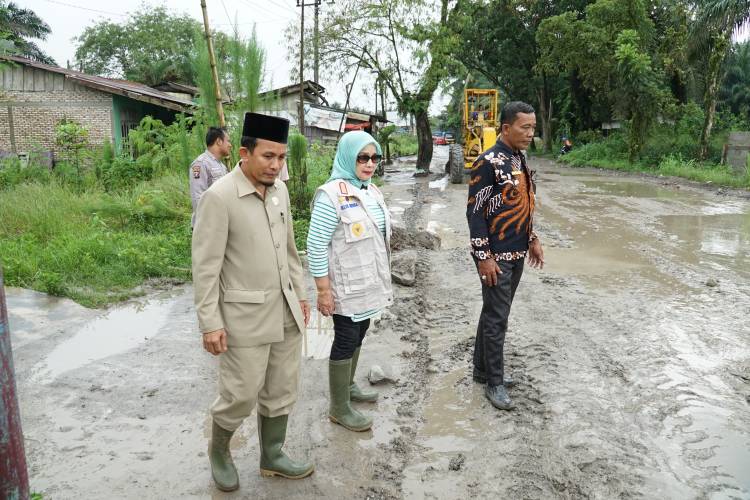 Wabup Labuhanbatu Tinjau Jalan Rusak di Pangkatan