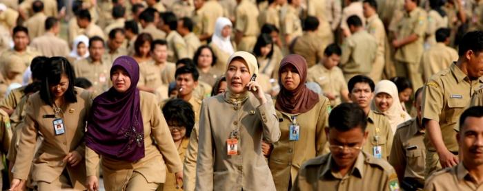 Inpassing PNS Mulai April, Seluruh Instansi Pemerintah Diminta Segera Petakan Jabatan Fungsional