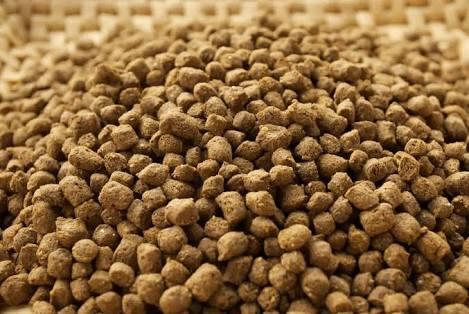 Mantan Presdir Aquafarm: 185 Ton Pelet per Hari Ditabur ke Danau Toba