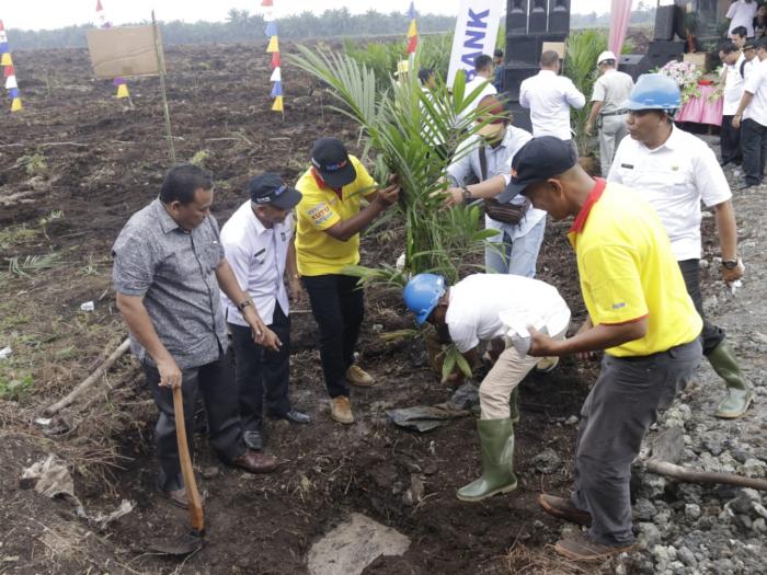 Wabub Kholil Jufri Harahap Lakukan Penanaman Perdana Program PSR