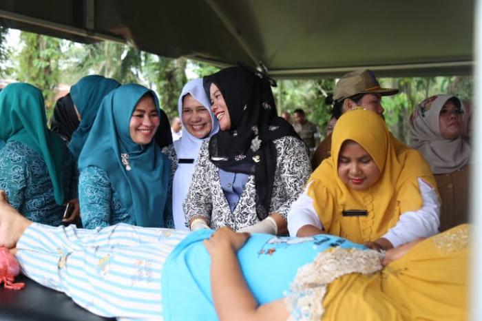 Ketua TP.PKK Labuhanbatu Berikan Materi Penyuluhan Kesehatan Ibu, Bayi dan Anak