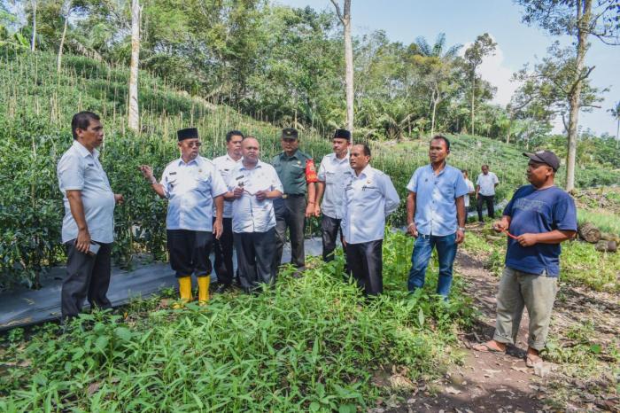 Angkola Julu Diharapkan Jadi "Berastagi"nya Kota Padangsidimpuan