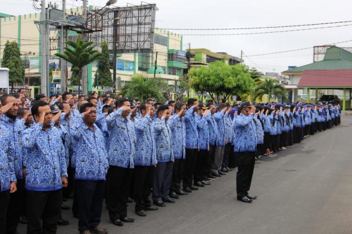 Peringati Hari Kesadaran Nasional, Wakil Walikota Padangsidimpuan Ajak Masyarakat Sukseskan SP 2020