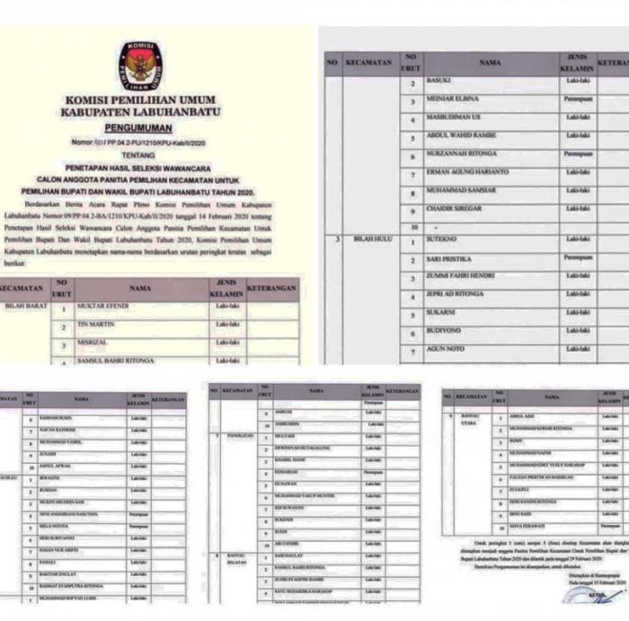 Hasil Rekrutmen PPK Se Labuhanbatu Jadi Perbincangan, Bawaslu Angkat Bicara