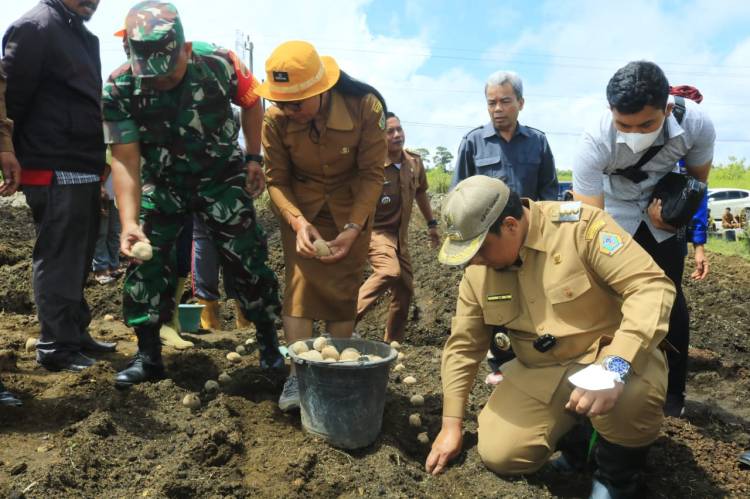 Bupati Samosir Ajak Petani Beralih Menggunakan Pupuk Organik, Di Desa Partungko Naginjang