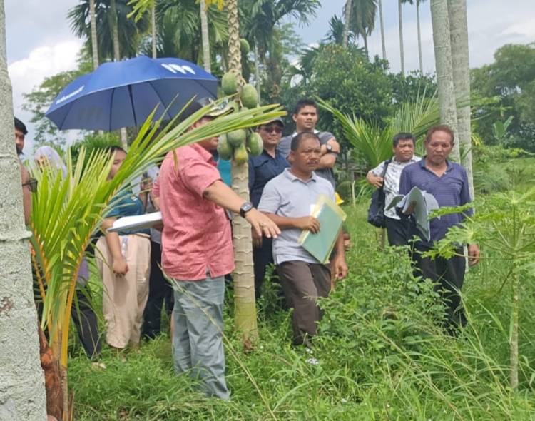 Kuasai Lahan Romein Manalu, BS Digugat Ke Pengadilan