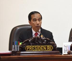 Usai dari Batam, Presiden Jokowi Lanjutkan Agenda ke Tapanuli Tengah