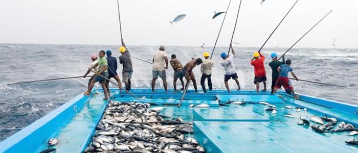 Ingat! Inilah Poin-Poin Dokumen Kebijakan Kelautan Indonesia