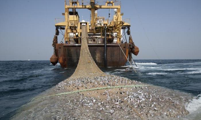 Kapal Pukat Trawl Masih Ditemukan di Perariran Langkat 