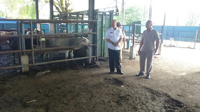 Penyembelihan Unggas Diminta Dilakukan di RPH Kota Medan