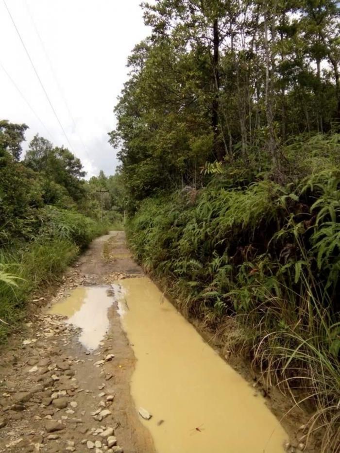 Dipimpin Bupati Dua Periode, Jalan Menuju Hasahatan Dolok Sipirok Tapsel Memprihatinkan
