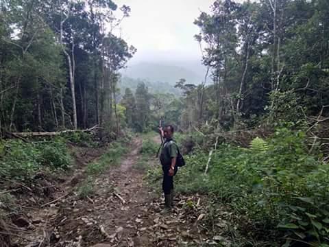 Kades Huraba Katakan Musrenbang Rekomendasikan Bangun Jalan Menuju Hutan Cagar Alam