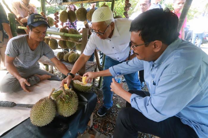 Di Tapteng, Djarot : Lebih Lezat Durian Kitalah