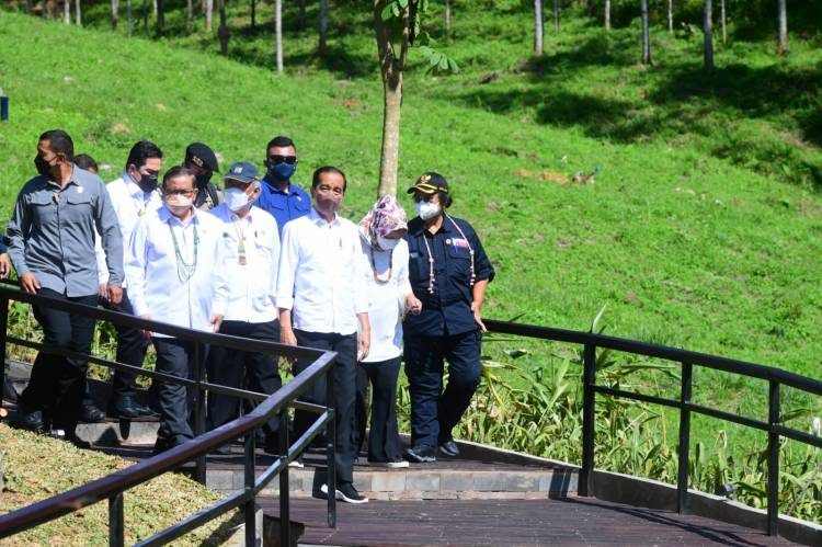 Kesan dan Harapan Para Gubernur pada IKN