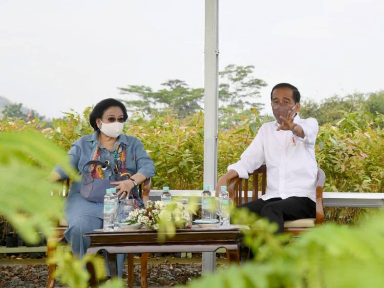 Presiden: Rehabilitasi Lahan Kritis Dimulai dari Pembangunan Persemaian