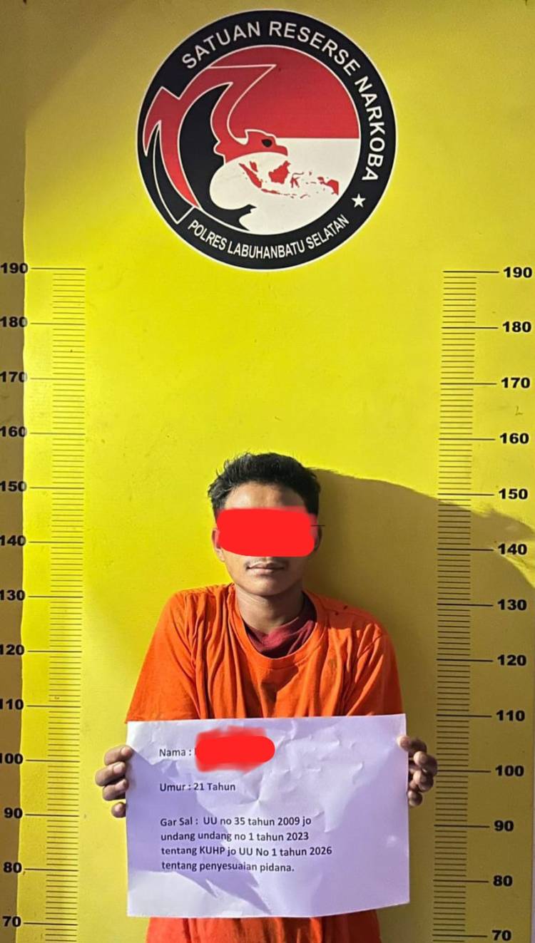 Masih Beredar Bebas, Satres Narkoba Polres Labusel Kembali Amankan 13,7 Kg Ganja di Kotapinang