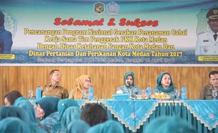 Gerakan Ayo Menanam Cabai di Kota Medan