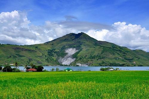 Hak 'Ora' Sebagai Budaya Tidak Menjual Tanah Bagi Orang Batak