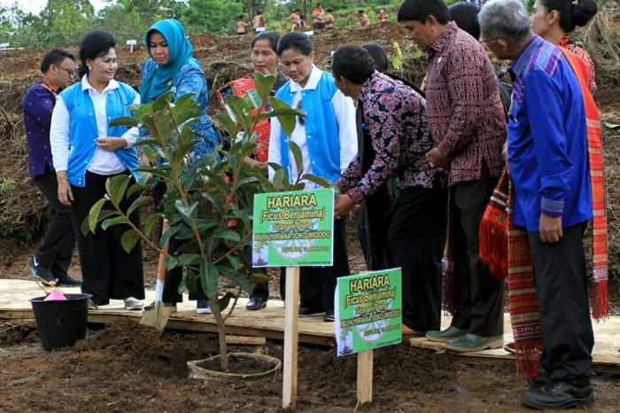 Ibu Negara Tanam Pohon Hariara di Geopark Kaldera Toba