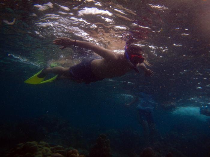 Snorkeling di Tureloto Sihar Terpesona Disapa Ikan Nemo