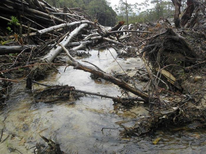 Warga Desa Ranggitgit Parmonangan Harus Kompak Tolak Perusakan Lingkungan