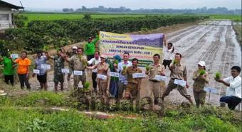 Kelompok Petani Kompos dan TPL Tanam Padi Varietas Unggul