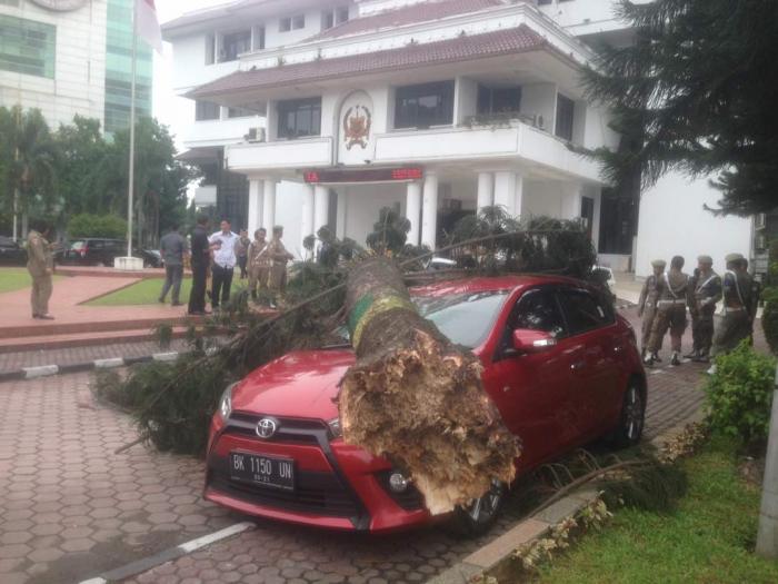 Pohon Tumbang di Halaman Balai Kota Medan, Timpa Mobil