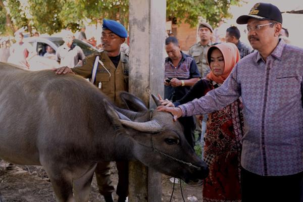 Jadi Andalan Provinsi, Pasar Ternak Aek Godang Harus Dikembangan