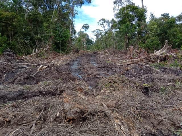 Hutan Tele, Samosir Dikeping-keping