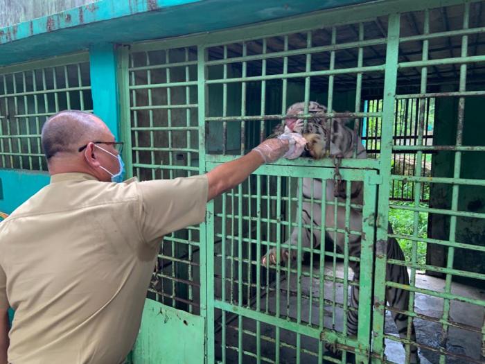 PT Musim Mas Bantu Medan Zoo