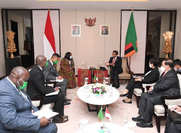 Bertemu Wakil Presiden Zambia, Presiden Jokowi Bahas Penguatan Kerja Sama Ekonomi