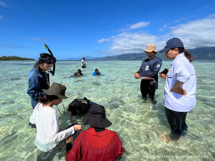 Bentuk Generasi Unggul dalam Konservasi Laut Melalui Pelatihan CoE Alor