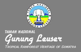 Kebijakan Menhut Izinkan Pinjam Pakai Hutan TNGL untuk Jalan Tembus Karo-Langkat Mendapat Apresiasi