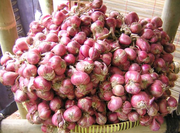 Polres Langkat  Amankan  Bawang Impor Ilegal  2 Ton di Stabat