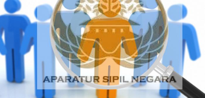 Usia Paling Tinggi Untuk Diangkat JPT Pratama 56 Tahun