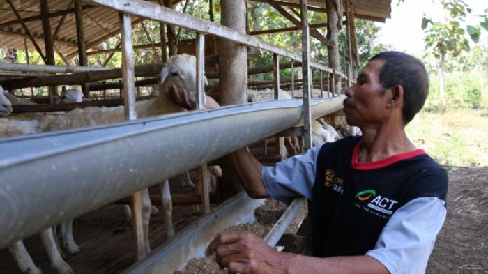 Jadi Agen Global Qurban-ACT, Luaskan Kebaikan