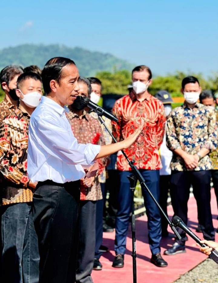 Presiden Jokowi Instruksikan Kemlu dan Dubes Bantu Kepulangan Jenazah Eril