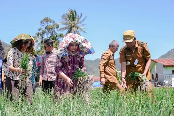 Ketua TP PKK Provsu Monitoring Desa Percontohan Di Humbang Hasundutan