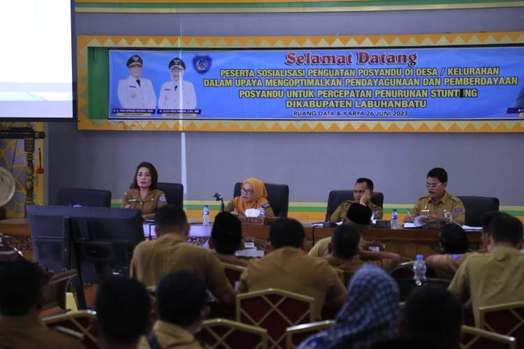 Sosialisasi Penguatan Posyandu di Desa/Kelurahan Upaya Pemkab Labuhanbatu Optimalkan Percepatan Penurunan Stunting