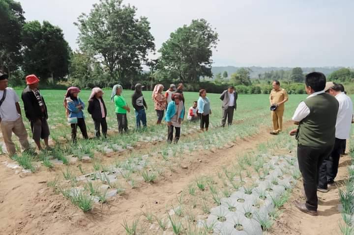 Bupati Humbahas Tinjau Pertanaman Bawang Merah Bantuan BI, Di Desa Dolokmargu