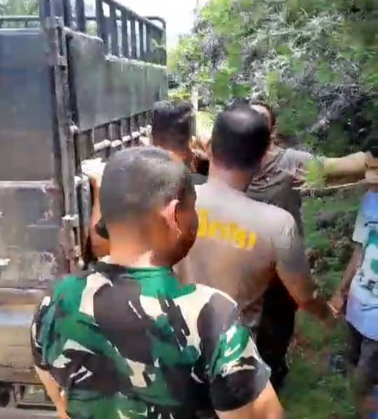 DPO Pencurian Lembu Kandas Ditangan Personil Polsek Silangkitang Dan Bhabinsa